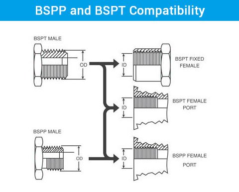 BSPP and BSPT Compatibility